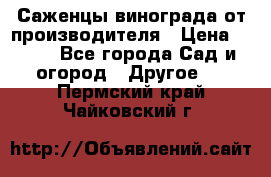 Саженцы винограда от производителя › Цена ­ 800 - Все города Сад и огород » Другое   . Пермский край,Чайковский г.